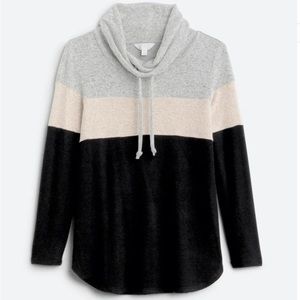 MARKET & SPRUCE Cameron Cowl Neck Brushed Knit Top